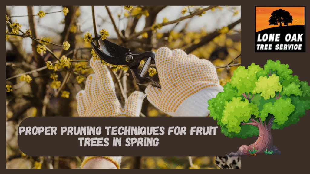 Proper Pruning Techniques for Fruit Trees in Spring – Lone Oak Tree ...