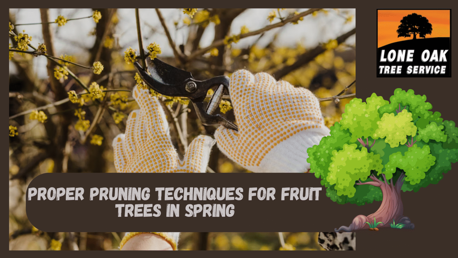 Proper Pruning Techniques for Fruit Trees in Spring – Lone Oak Tree ...