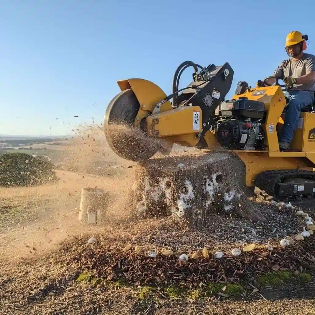 professional stump grinder machine at work on a weakened stump.