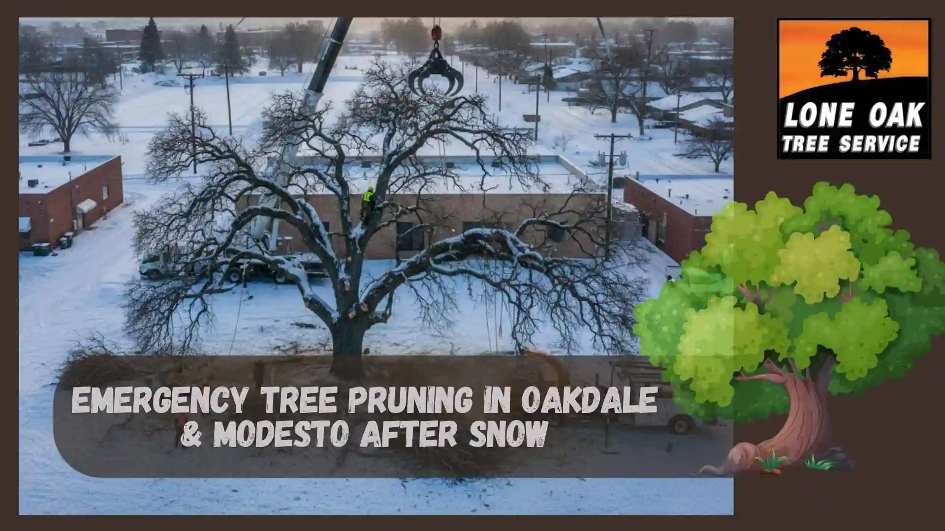 Emergency Tree Pruning in Oakdale & Modesto After Snow