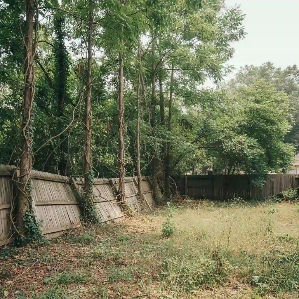 Overgrown backyard with invasive trees encroaching on fence