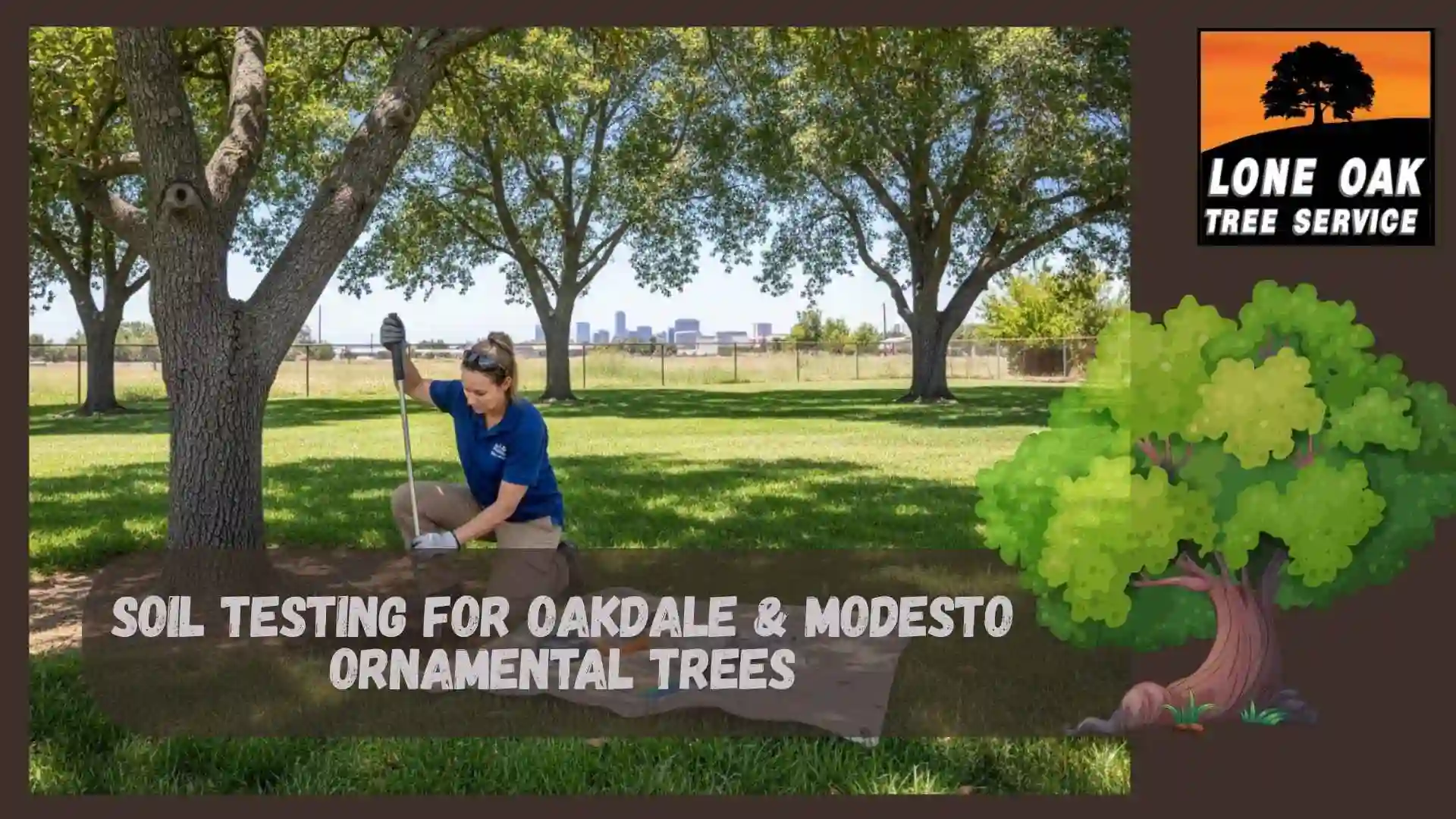Soil Testing for Oakdale & Modesto Ornamental Trees