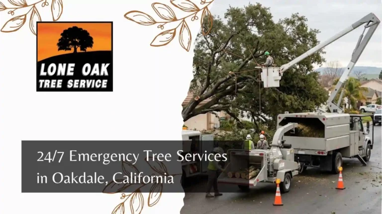 247 Emergency Tree Services in Oakdale, California