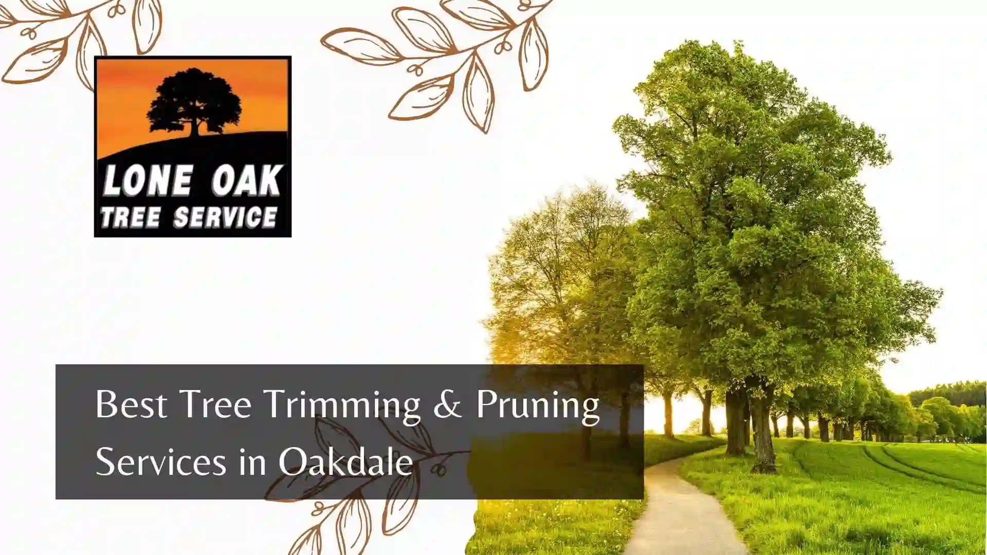 Best Tree Trimming & Pruning Services in Oakdale