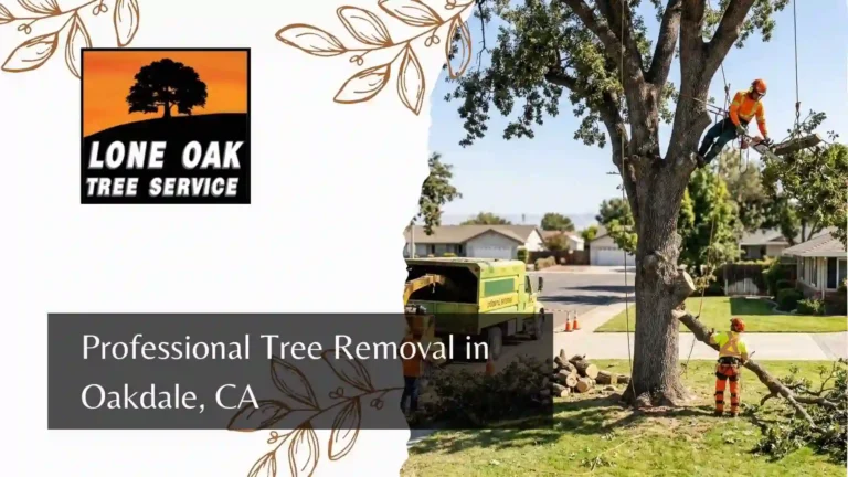 Professional Tree Removal in Oakdale, CA