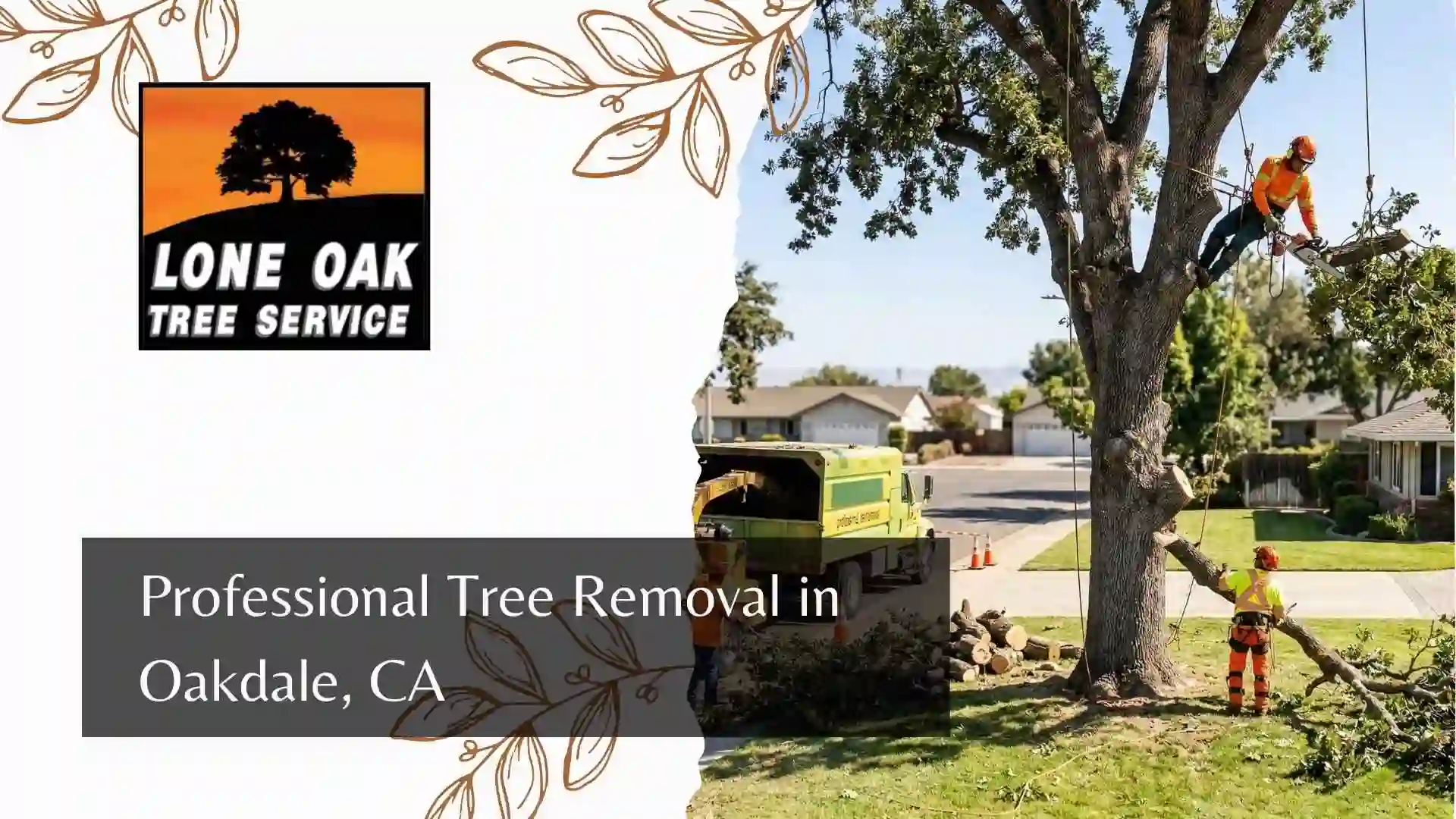 Professional Tree Removal in Oakdale, CA