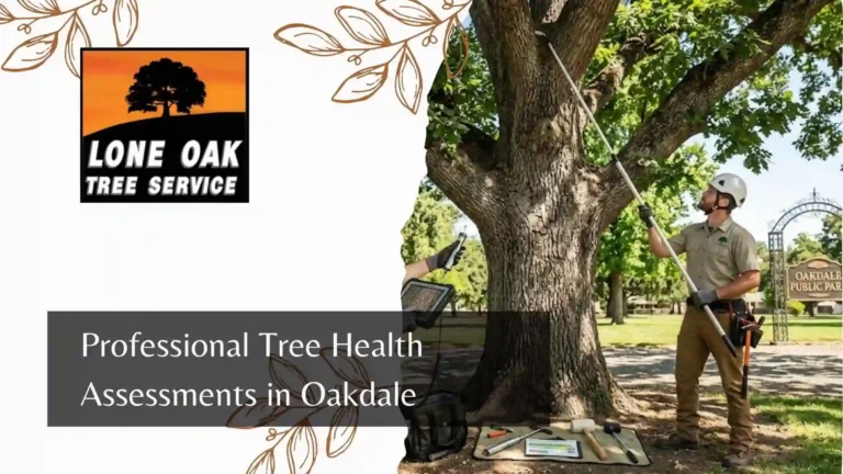 Professional Tree Health Assessments in Oakdale