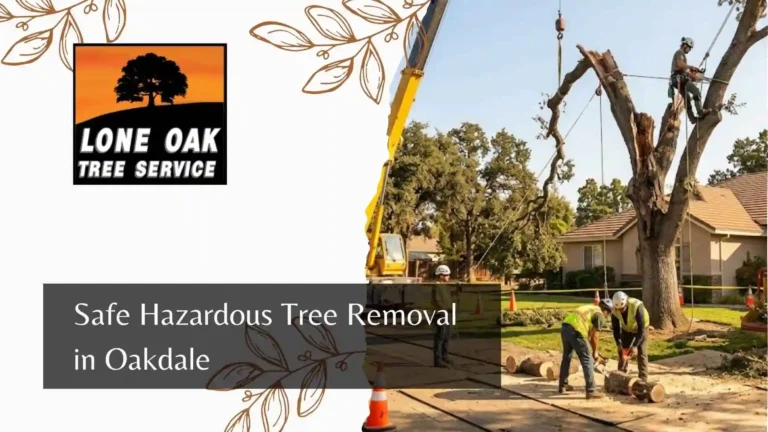 Safe Hazardous Tree Removal in Oakdale