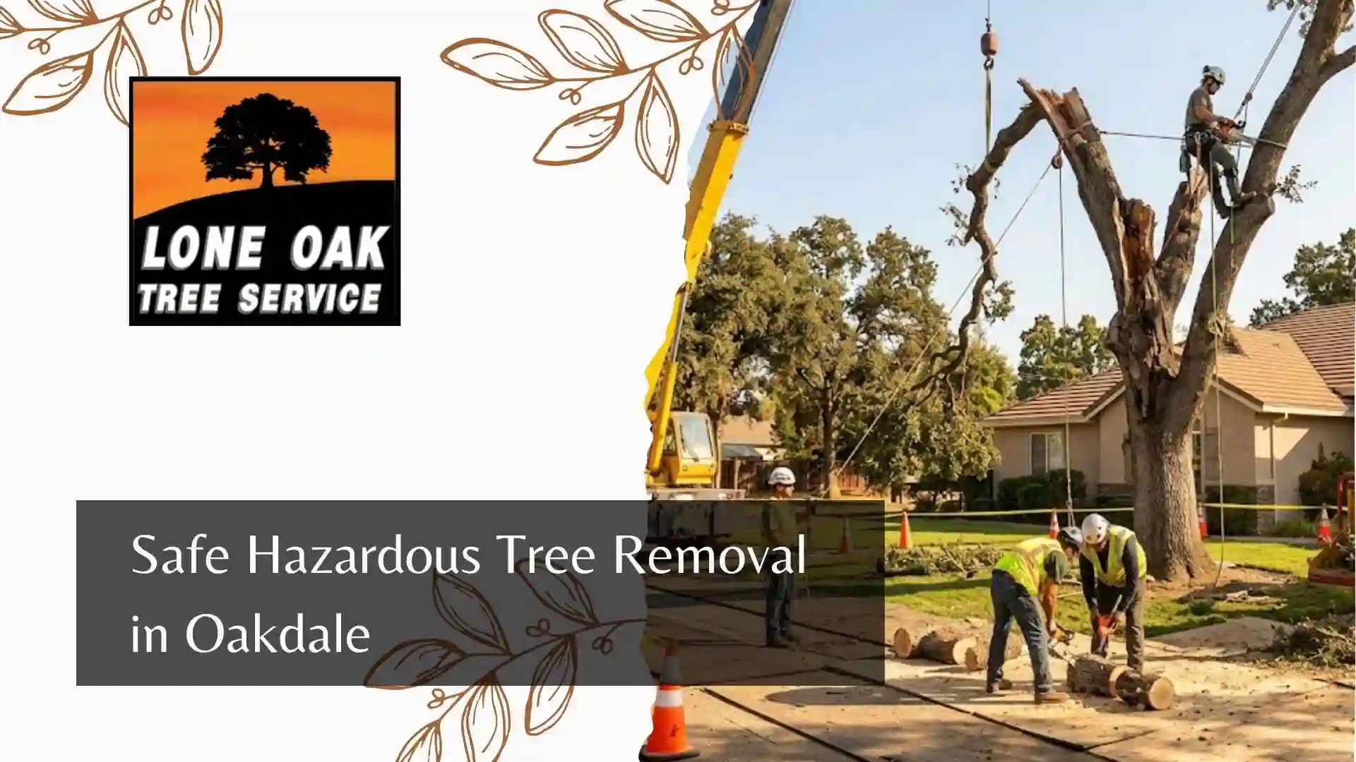 Safe Hazardous Tree Removal in Oakdale