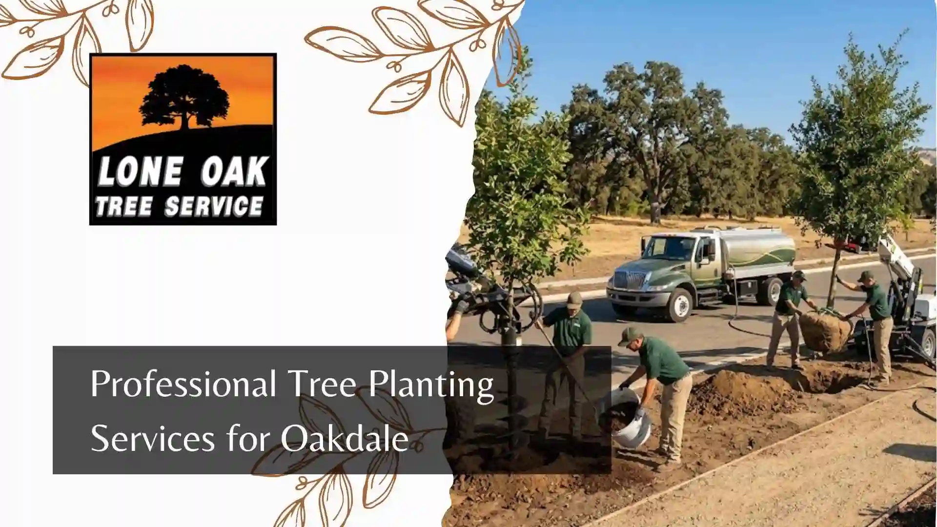 Professional Tree Planting Services for Oakdale