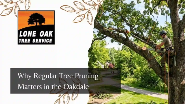 Why Regular Tree Pruning Matters in the Oakdale