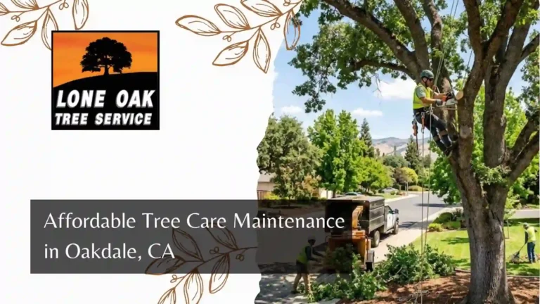 Affordable Tree Care Maintenance in Oakdale, CA