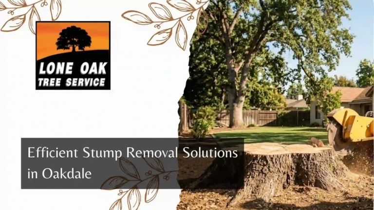 Efficient Stump Removal Solutions in Oakdale