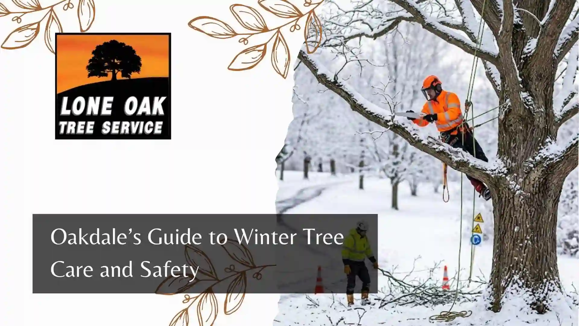 Oakdale’s Guide to Winter Tree Care and Safety