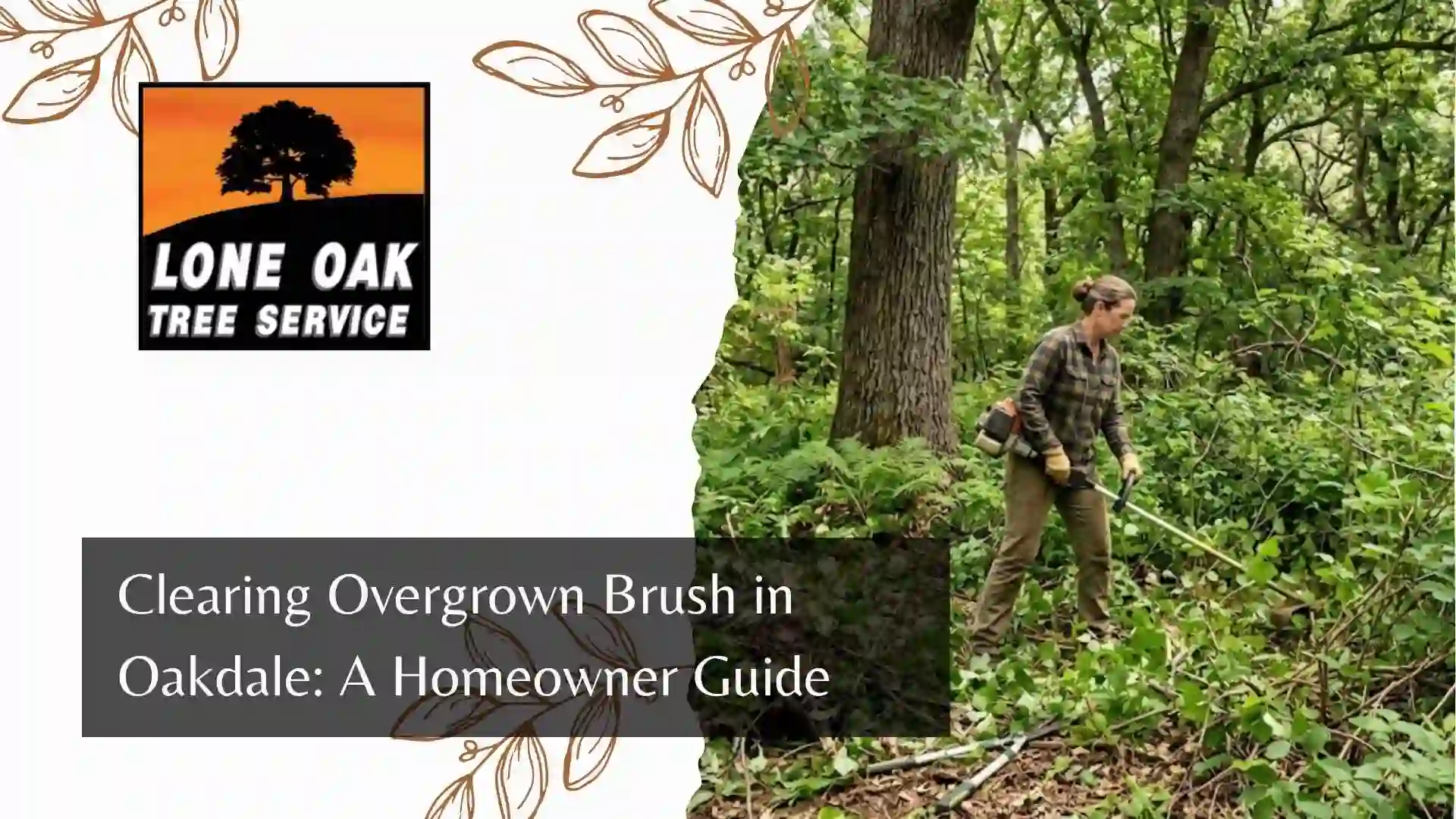 Clearing Overgrown Brush in Oakdale A Homeowner Guide