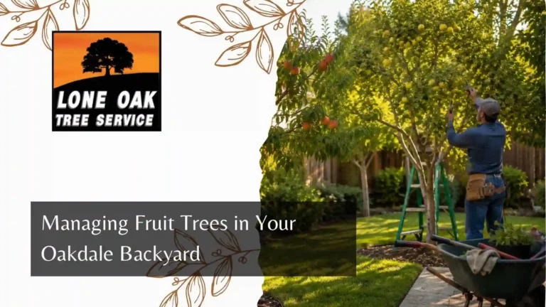 Managing Fruit Trees in Your Oakdale Backyard