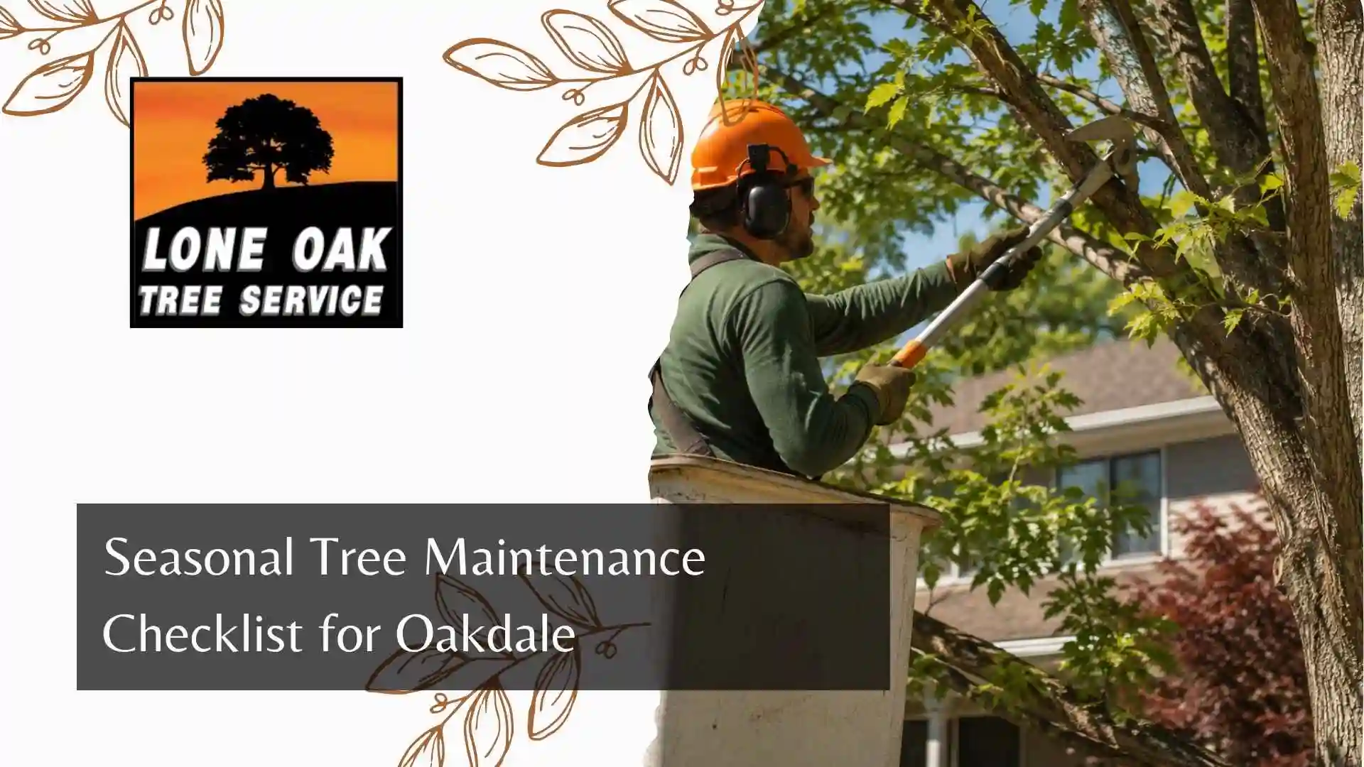 Seasonal Tree Maintenance Checklist for Oakdale