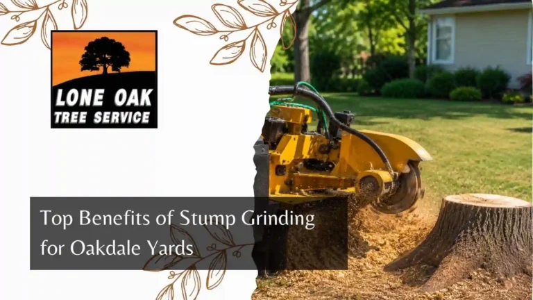 Top Benefits of Stump Grinding for Oakdale Yards