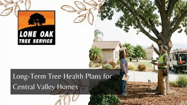 Long-Term Tree Health Plans for Central Valley Homes