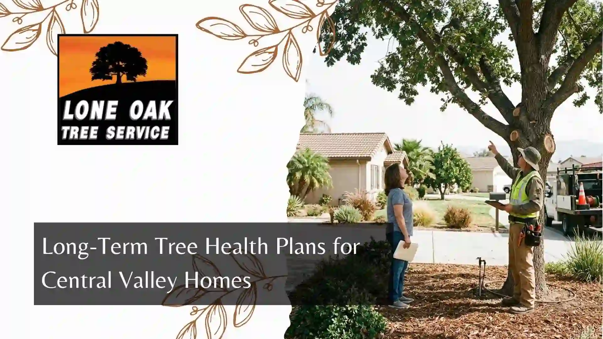 Long-Term Tree Health Plans for Central Valley Homes